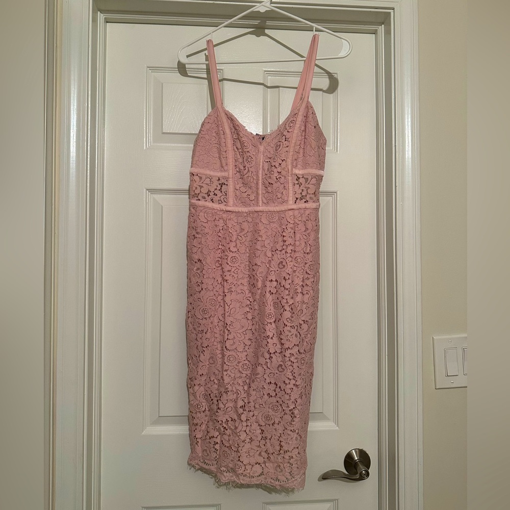 Size 4 Pink Lace Express Dress